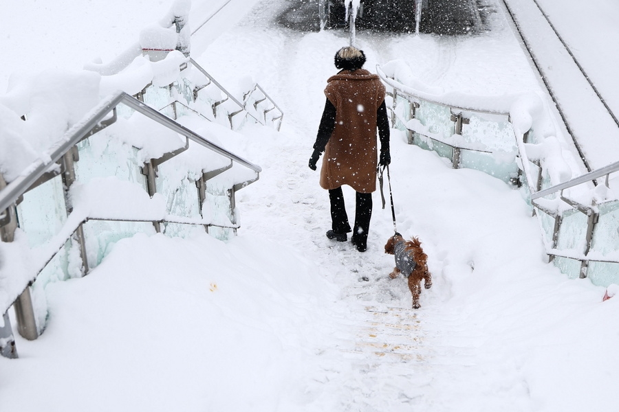 Γερμανία: Πάγωσε το Μόναχο με χιονοπτώσεις ρεκόρ